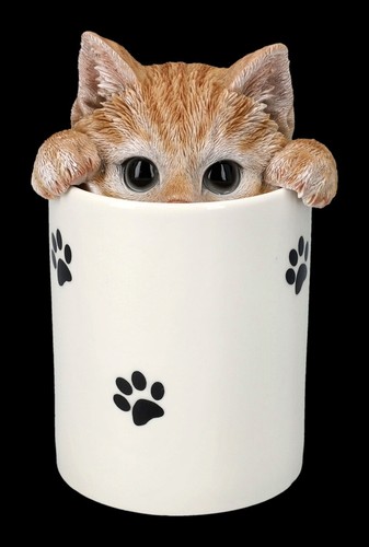 Treat container tabby cat - tabby, by