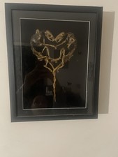 Romantic Skeleton Animal