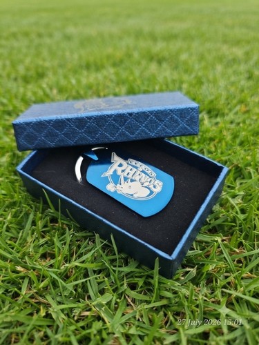 Leeds rhinos keyring - rhinos,