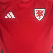 Rare Original Wales