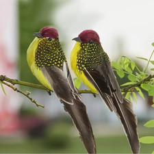 New 2Pcs Artificial Birds