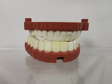 Resusci Anne Training Medical Teeth Set