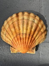 Beautiful golden natural real - beautiful,