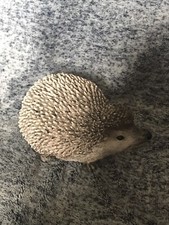 Hedgehog latex mould garden - hedgehog,