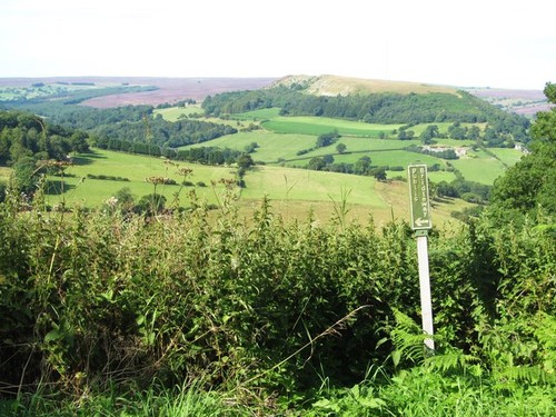 Photo public bridleway sign - bridleway,
