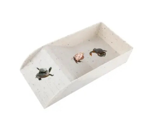 Hermit crab water - hermit,
