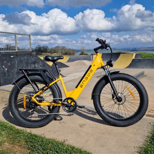 Electric bike 250w - 250w, 48v