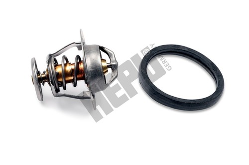 Hepu tm1316 thermostat - hepu,