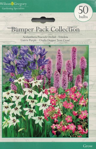 Mixed bumper pack - 50, bulbs