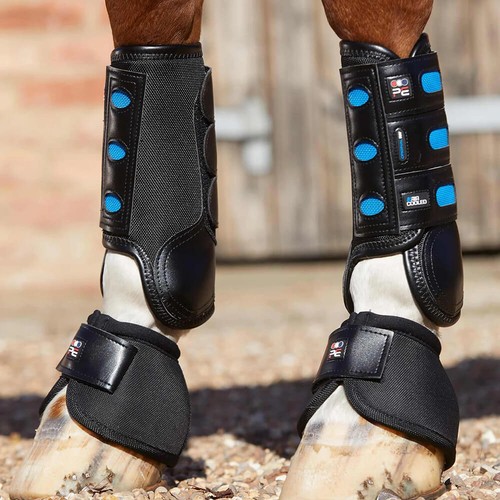 Premier equine air cooled - equine,