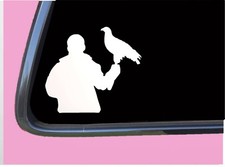 Falconry no hood TP 626