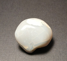 Opalized Fossilized Clam Shell - Complete Clam