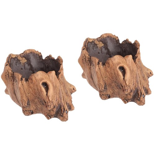 Pieces stump flower pot - flower, for