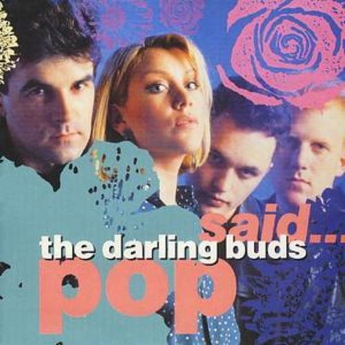 The darling buds - the,