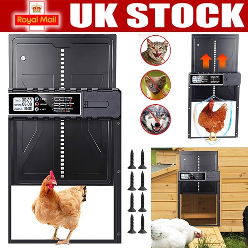 Automatic chicken coop door - chicken,