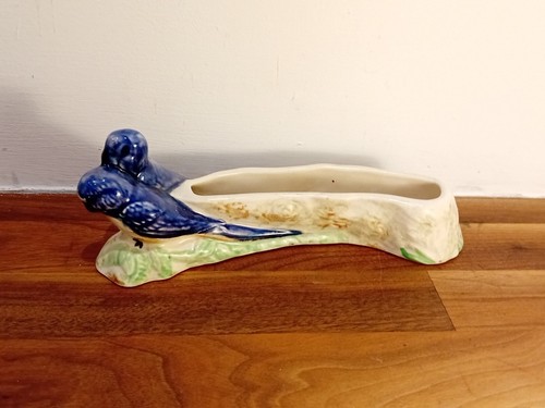 Budgies budgerigars posy - budgies,