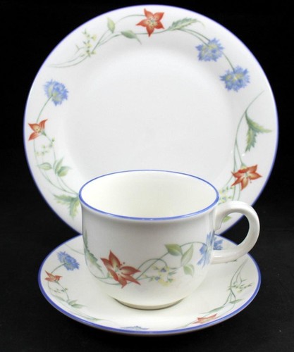 Royal doulton summer carnival - royal,