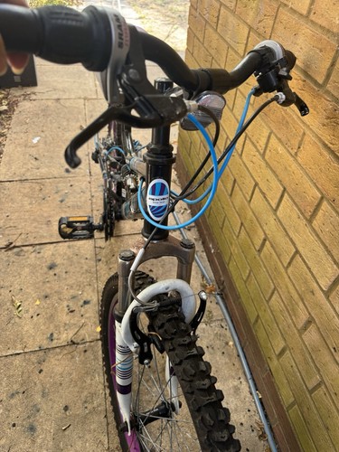 Mountain bike - mountain,