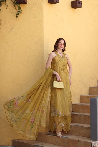 Noor luxe chikankari - luxe, 💯