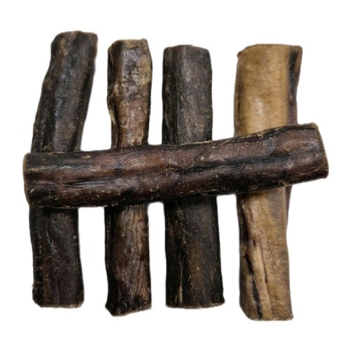 Thick pizzle stick 12cm - 12cm, x5