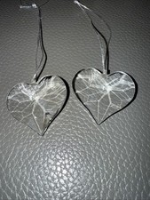 Glass Hearts