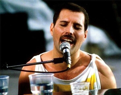 Freddie mercury unsigned x - mercury,