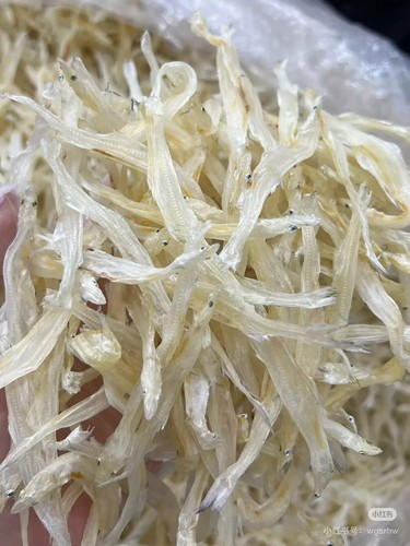 Natural dried large silver - natural,