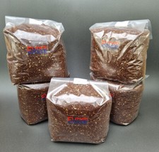 Bulk buy - Fungi Forge CVG