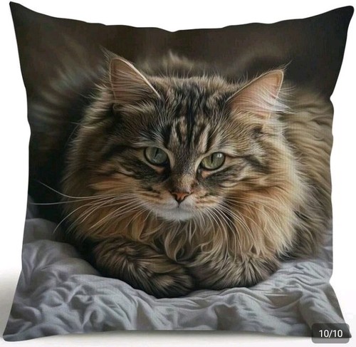Printed maine coon - 1, kitten