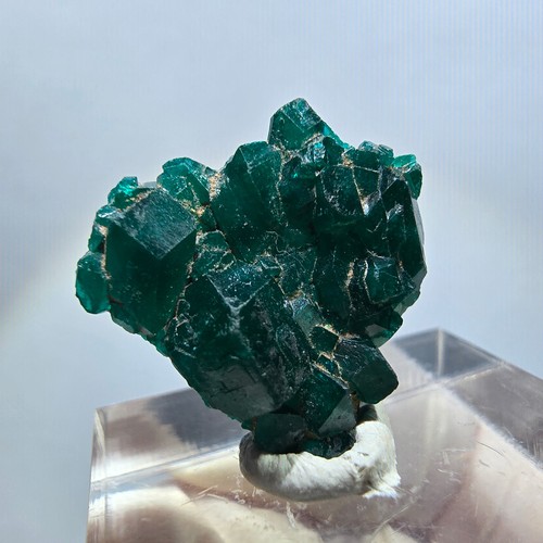 Rare dioptase stage - rare, green