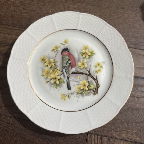 Thun porcelain white gold - tk,