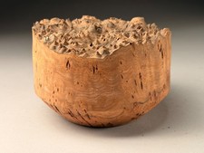 Live Edge Burr Elm Resin