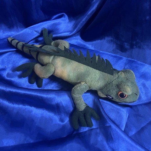 Zoo friends green iguana - zoo,