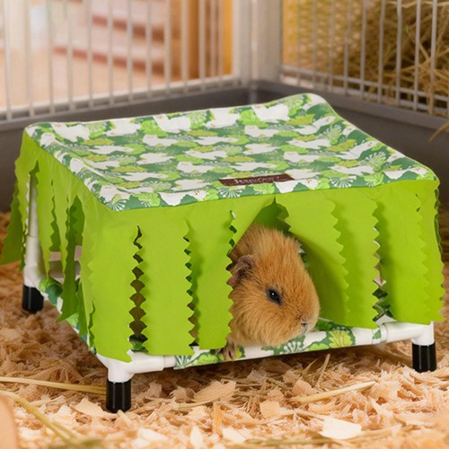 Guinea pig bed - guinea,