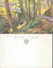 The Hobby Drive Clovelly Devon