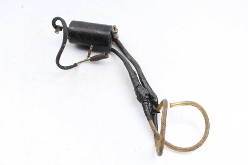 Ignition coil kawasaki 1000 - coil,