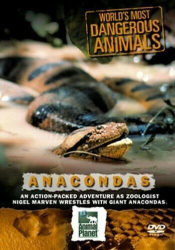 World most dangerous animals - dangerous,