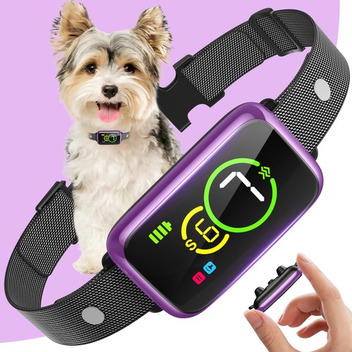 Stop barking smart dog - 1s, bark