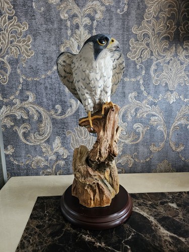 Large peregrine falcon bird - peregrine,