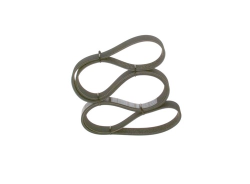 Bosch ribbed belt for alfa - belt,