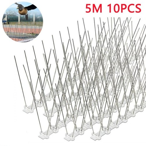 Pigeon birds spikes metal - 5m,