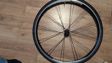 Airnimal Chameleon 24" (520)