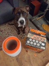 Coopers Air Filter FIAT REGATA PANDA UNO PEUGEOT 504 CA4822 AG933