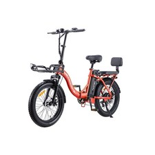 TWOFISH 20" Fat Tire E-Bike