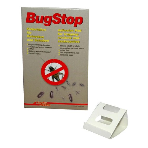 Lucky reptile bugstop cricket - lucky,