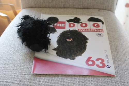 Hungarian puli magazine - no., 63