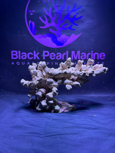 Bpm scape nano 072654 - scape, #072654|
