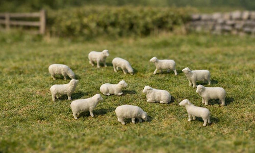 Scale sheep pack - sheep,