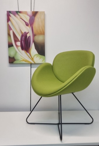 Pledge spirit tub chair - pledge, with