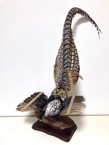 Stuffing real bird - real, lady